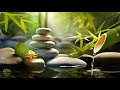 Música Zen Relajante con Sonidos de Agua de Bambú • Regenerar Energía, Restaurar La Salud