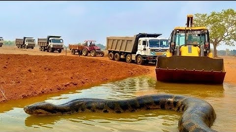 JCB Machine, Four Tata Trucks, and a Tractor Were Going For Soil Loading — But Then, What Happened?"