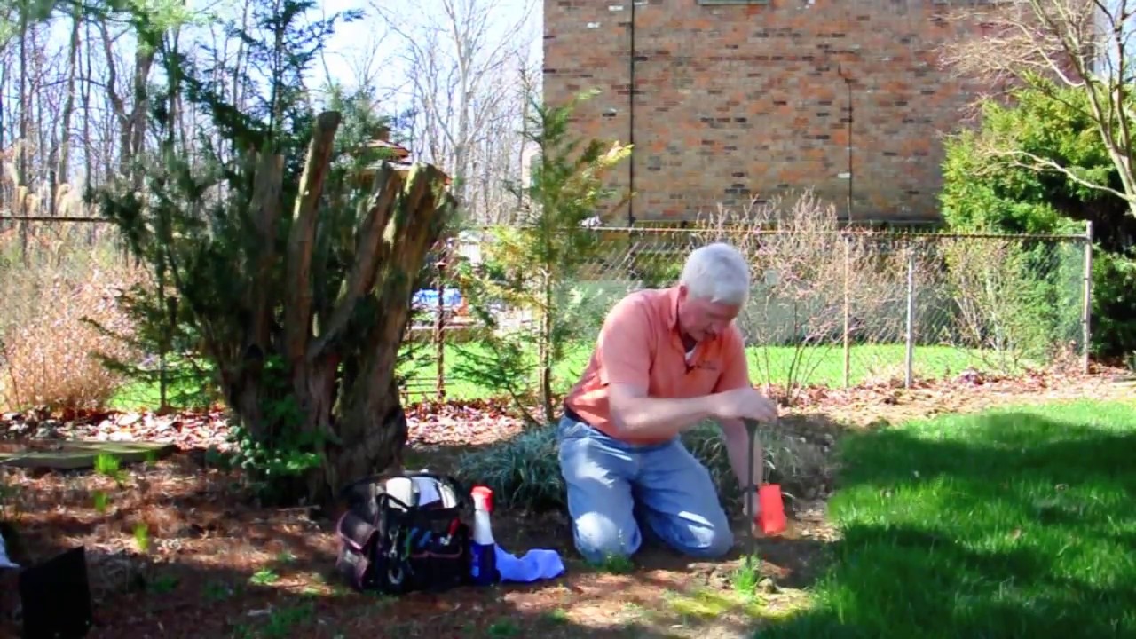 Easy Landscape Lighting Maintenance Tips