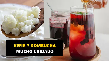 ¿Qué tiene más probióticos el kéfir de agua o la kombucha?