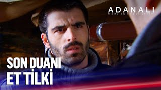 Maraz Ali, Timurdan Hesap Sordu - Adı