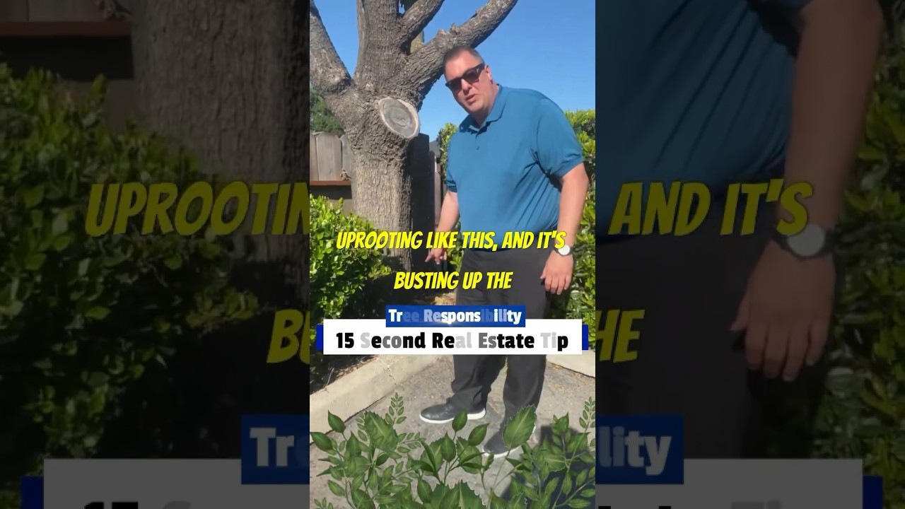 15 Second Real Estate Tip 