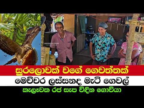 The Honey Thief That Turned This Garden Into Paradise
