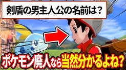 ポケモンソルジャー ポケソル