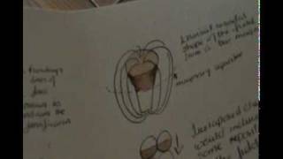 magnetic field.avi
