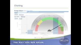 Selltis webinar Using charts for goal tracking
