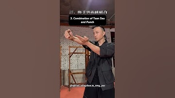 A set of movements in three steps with Master Tu Tengyao