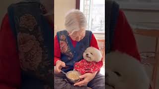 Nhng  Triu View Tiktok Trung Hoa 303 I Jang Shorts shorts