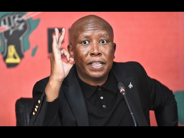 Julius Malema GRILLED at National Results Centre! Shocking Election Drama!