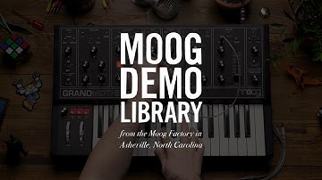 Grandmother | Envelope-Controlled Oscillator Sync