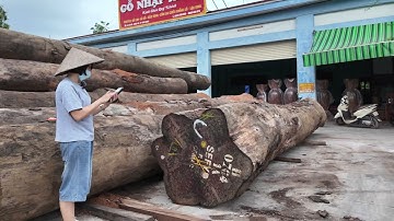 Cách tính số khối và giá tiền của nhiều cây gỗ khác nhau một cách nhanh nhất, dễ dàng nhất