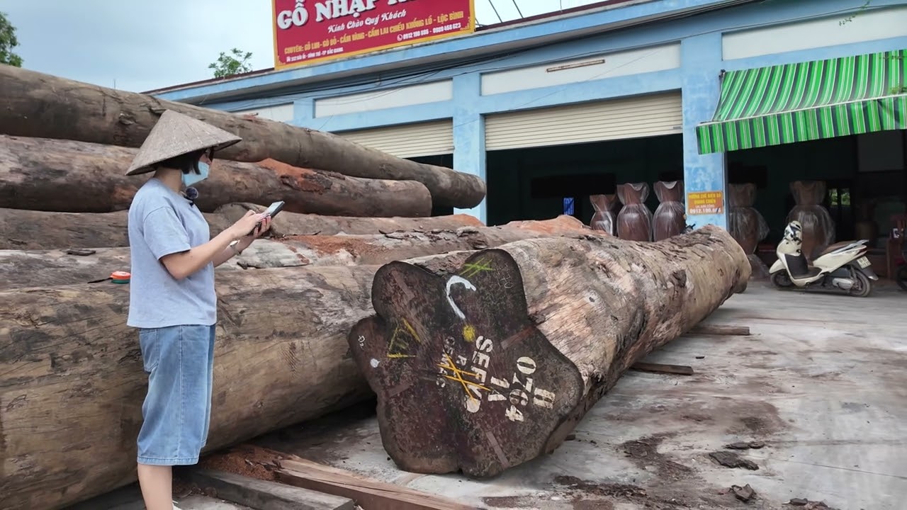 Cách tính số khối và giá tiền của nhiều cây gỗ khác nhau một cách nhanh nhất, dễ dàng nhất