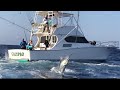 IFISH Port Stephens Marlin with Capt. Tim Dean