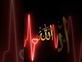 Allah hu Allah hu 🤍🩶#allah #allahhooallahhoo #foryou #everyone #viralvideo #lifeline