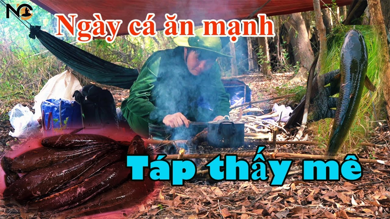 Hành trình săn cá lóc hugo tập 79