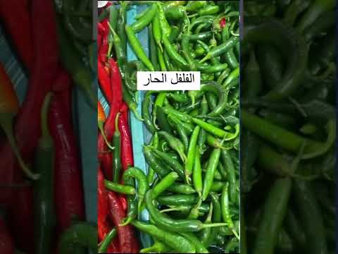 أين يوجد فيتامين سي بكمية كبيرة ماهي الخضار والفواكه الغنية بفيتامين  اكثر من البرتقال