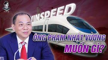 VÌ SAO TỶ PHÚ VƯỢNG MUỐN TỰ “ÔM” ĐƯỜNG SẮT CAO TỐC BẮC NAM? CÓ NÊN ỦNG HỘ KHÔNG?