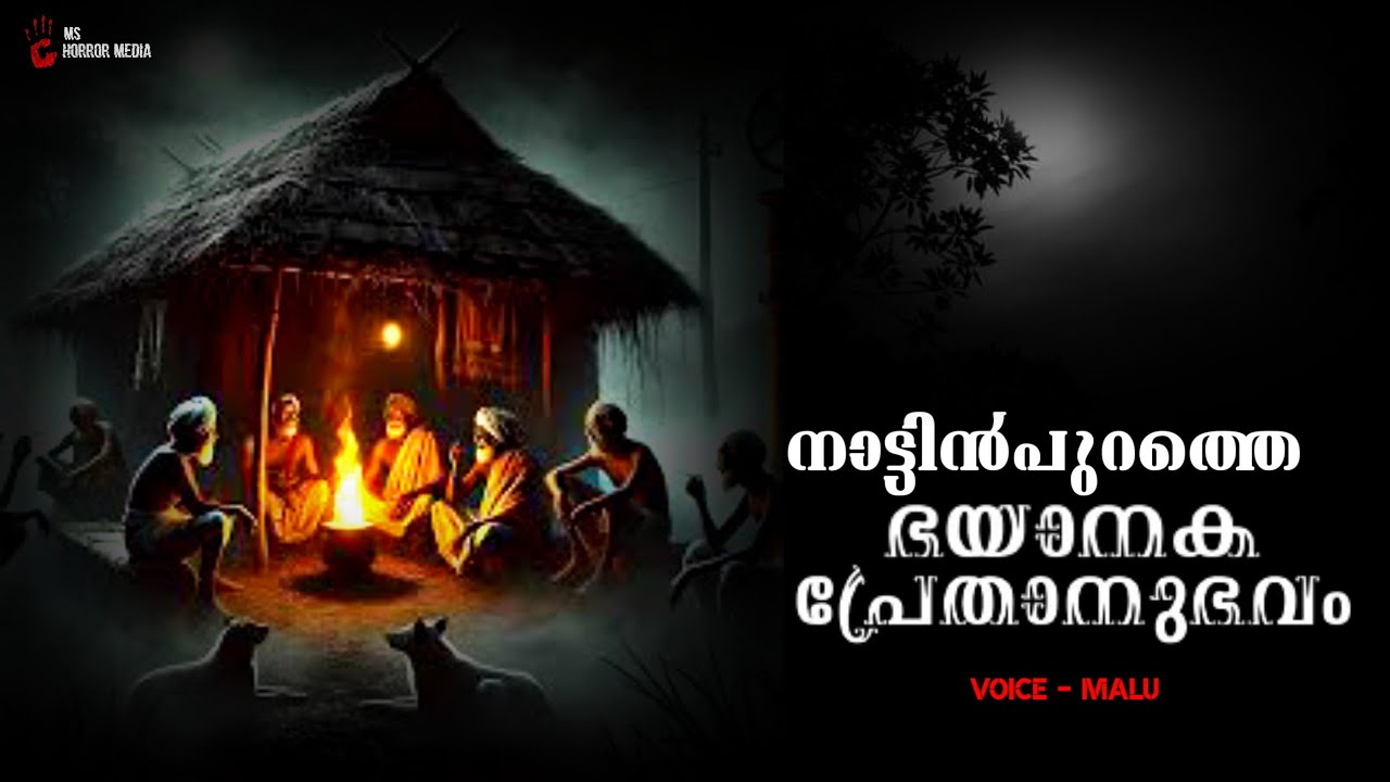 നാട്ടിൻപുറത്തെ പ്രേതാനുഭവങ്ങൾ | real horror incidents | horror story malayalam | pretha kathakal |ms