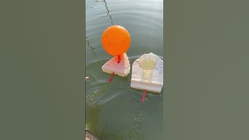 Đua Thuyền Xem Động Cơ Nào Nhanh Hơn #shorts #caulongbocondua