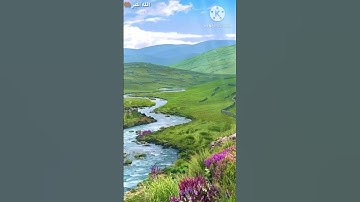 تلاوه هادئه ارح سمعك ( القارئ ناصر القطامي )…!🤲🏽🌴🌻