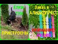 🌲ВЛОГ/Ёлки- палки- ТУИ, посадка /Что скажут соседи?/АЛИЭКСПРЕСС- АКЦИЯ или что и как я там заказываю