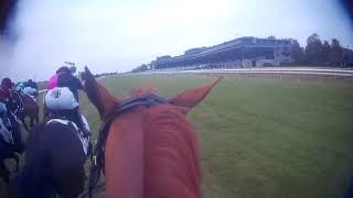 Tyler Gaffalione wears a JockeyCam at Keeneland | HorseRacing.net/us Information