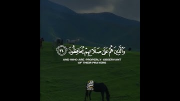 قران كريم بصوت شريف مصطفى 🌿🧡 حالات واتس اب دينية مقاطع استقرام
