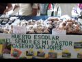 Centro Escolar La Lava clausura proyecto de huertos escolares y familiares