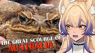 Australia's WORST Nightmare is UNSTOPPABLE  | The Toad that BROKE Australia | More Parz Reaction
