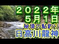 鮎釣り30cm高引水 残り垢狙い本流:亀谷橋 小又川:五味垣内橋(ごみかいとはし)日高川龍神 22年