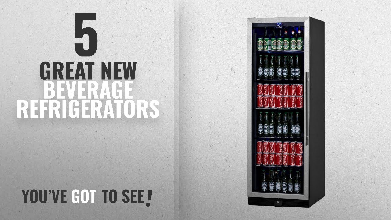 Top 10 Kingsbottle Beverage Refrigerators [2018] KingsBottle 450 Can