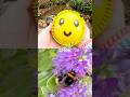 Learn at the Waterfall | Bug Insect Names for Kids: Weevil Caterpillar Cicada Bee Ant