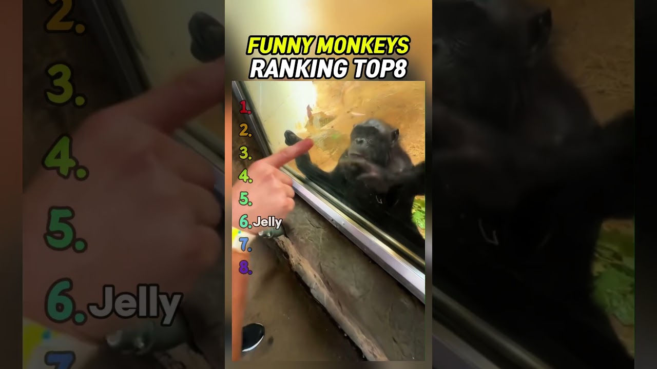 Latest Title & Thumbnail