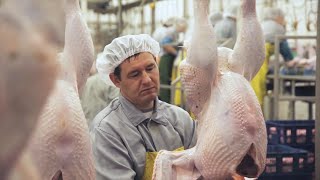 Почему мясо курицы, свинина и индейка рекордно выросли в цене?
