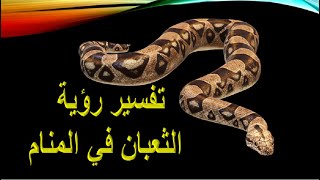 الثعبان في المنام - تفسير رؤية الأفعى في الحلم