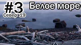 : #3  2019 |   |   |  