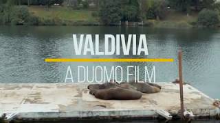 Valdivia, City of Rivers &quot;The Great Chilean Earthquake&quot;