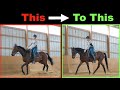 HOW TO SLOW A FAST HORSE DOWN 🐎