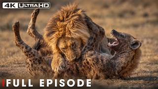 Hostile Planet | The Fight for Survival | FULL EPISODE | Wildlife Documentary