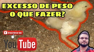Excesso De Peso E Abrindo Perna?? O Que Devo Fazer?