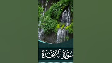 من سورة السجدة للسورة كاملة تلاوة بالمقام اليمني https://urlgeni.us/youtube/channel/LS156