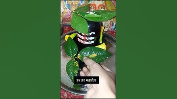 🌿🙏 Mahadev Status bholenath status video 🌿🙏