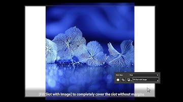 Video 5 - Canon Professional Print & Layout - Single Image - Image Inputting