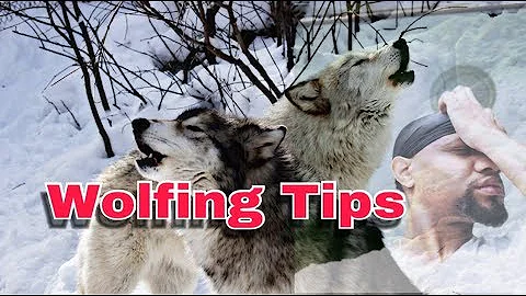 HOW TO GET 360 WAVE: WOLFIN TIPS (WHAT YOU NEED TO KNOW ABOUT WOLFIN)
