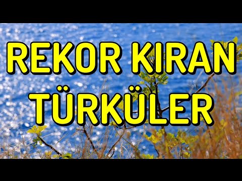 Rekor Kıran Türküler / Türk Halk Müzikleri HD - 2021 #türkü #türküdinle