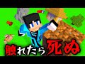 【マイクラ】緑に触れたら死ぬ世界でサバイバルした結果【マインクラフト 】【まいくら】