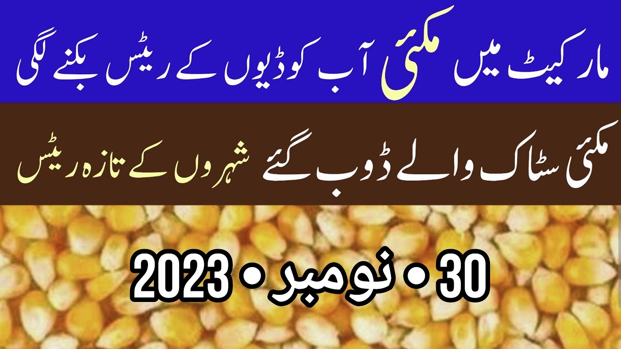 Corn price today in pakistan Makki new price Corn rate today Aj