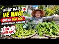 Vừa về Nhật, Quỳnh chạy ngay ra vườn rau — cảnh tượng khiến ai cũng sốc!