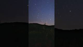 Orion First Light Google Camera App & Budget Smartphone #astrophotography #nebula screenshot 5