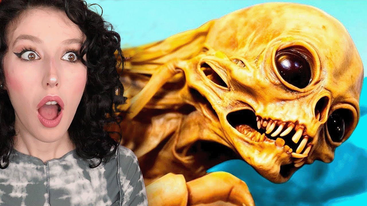 HAYATINIZDA İLK KEZ GÖRECEĞİNİZ ŞEYLER ! (1 SAAT)